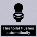 this-toilet-flushes-automatically~
